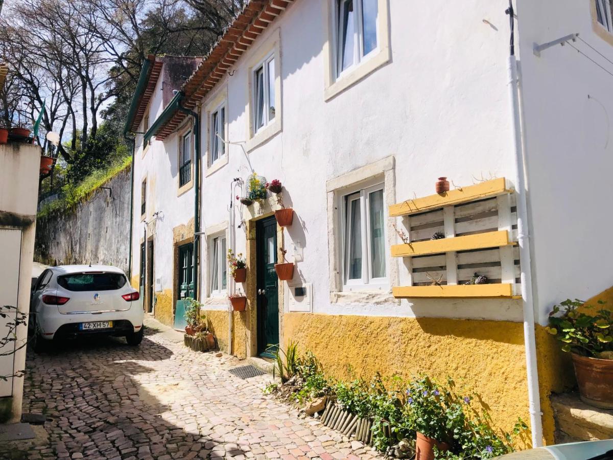 Pe Do Castelo Casinha - Pet Friendly & Garage Villa โตมาร์ ภายนอก รูปภาพ