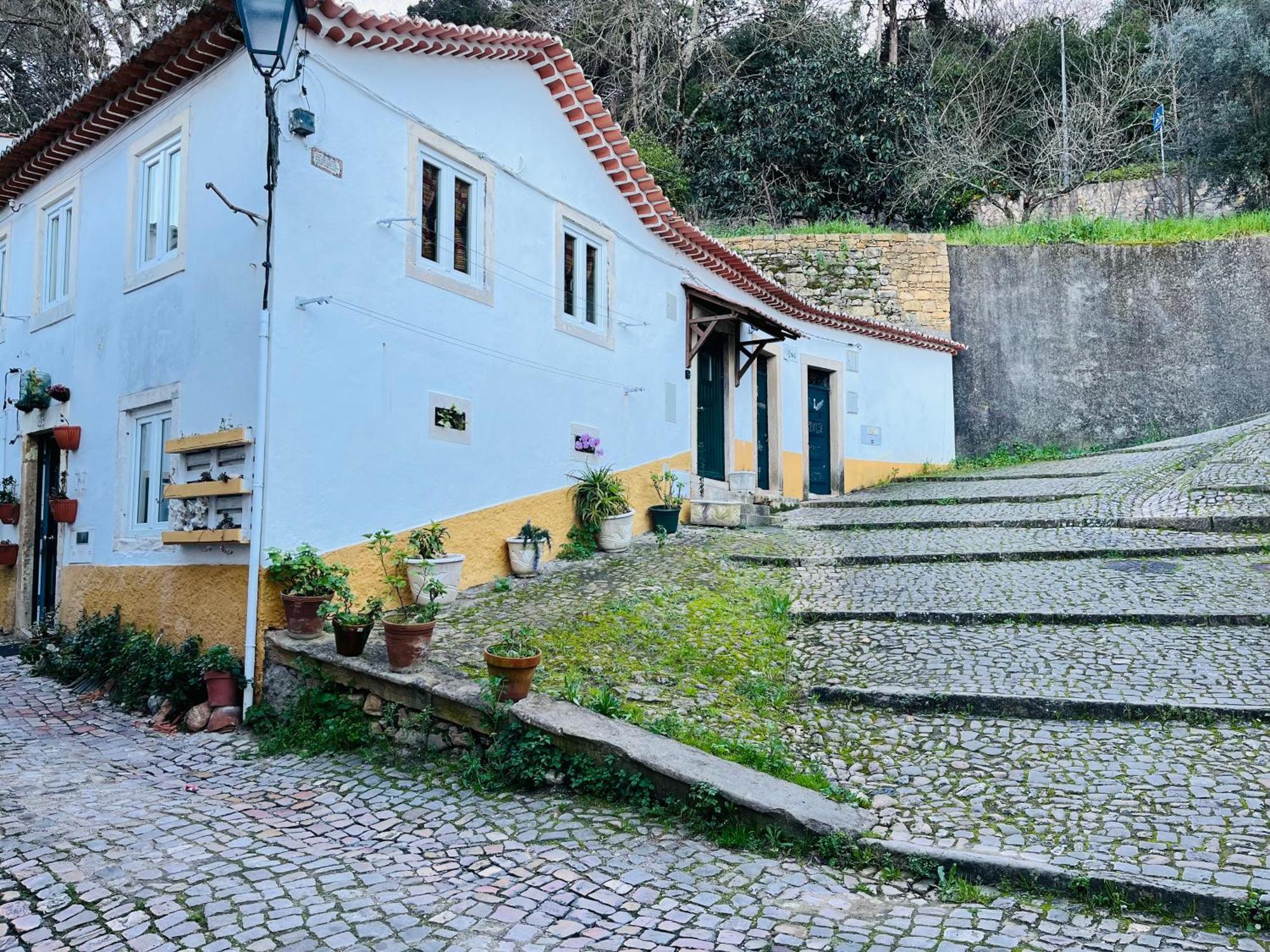 Pe Do Castelo Casinha - Pet Friendly & Garage Villa โตมาร์ ภายนอก รูปภาพ